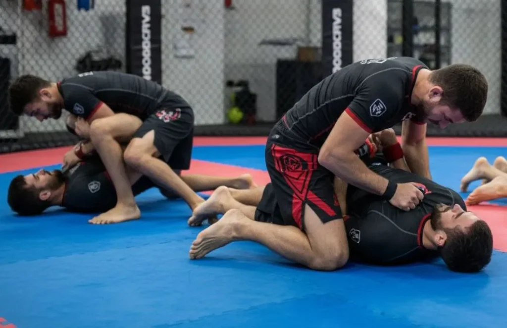 Позиции в партере ММА для новичков что важно знать